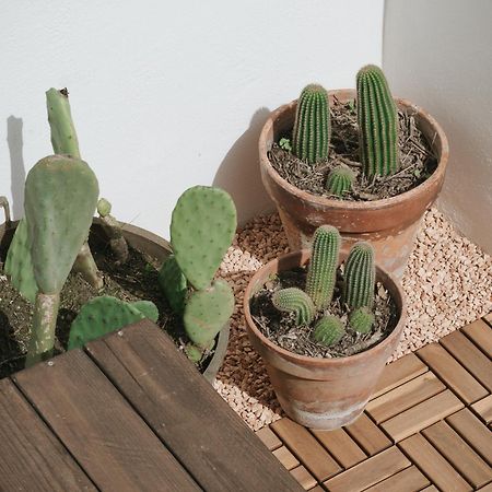 Maja Ostuni Centro - Luxury Apartment 外观 照片